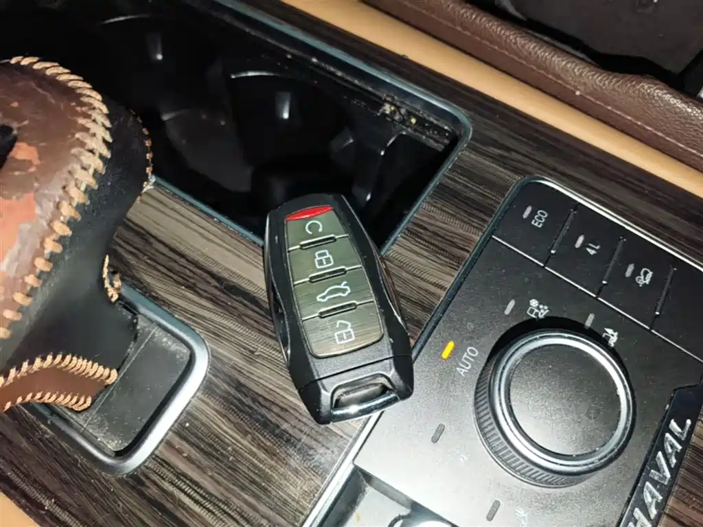 Haval H9 2020 2.0T Gasoline 4WD Premium 5-Seater фото 9