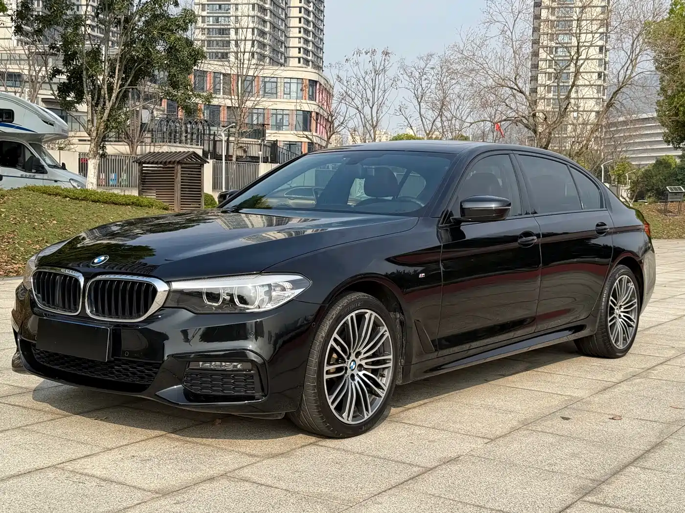 BMW 5 Series 2019 530Li Leading M Sport Package