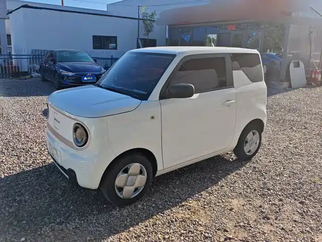 Geely Panda Panda, mini 120km, Cute Bear