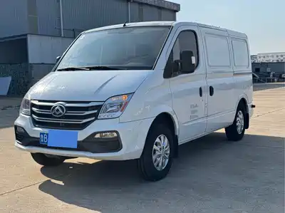 Maxus New V80