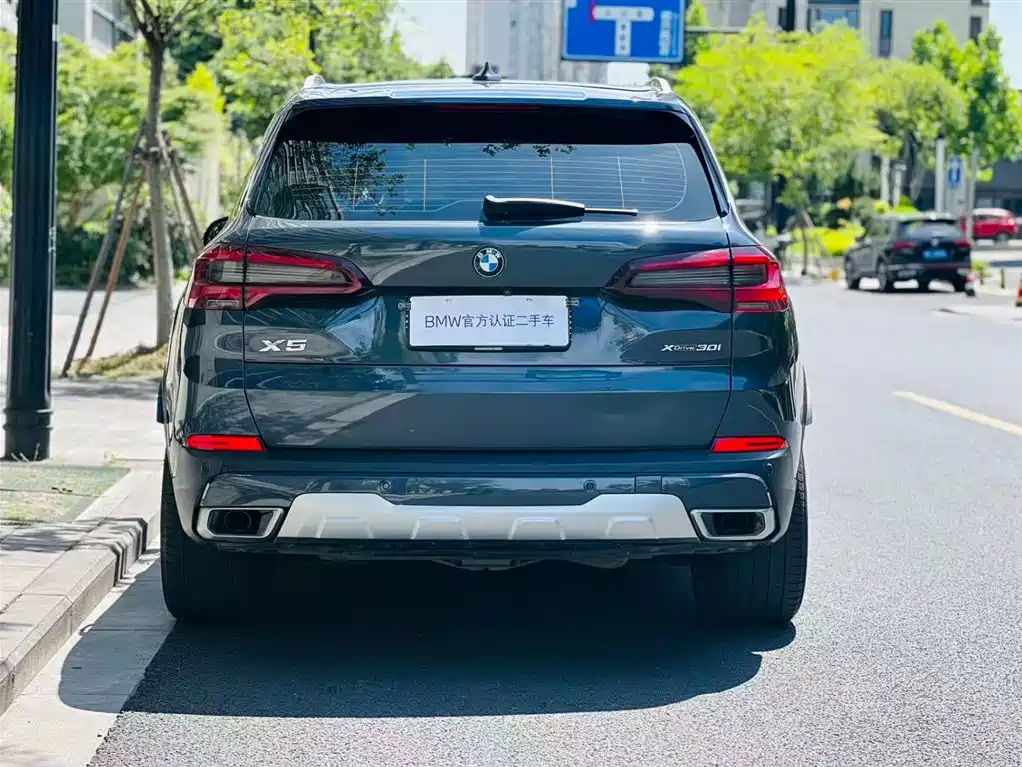 BMW X5 (Import) 2020 xDrive30i X Design Package фото 5