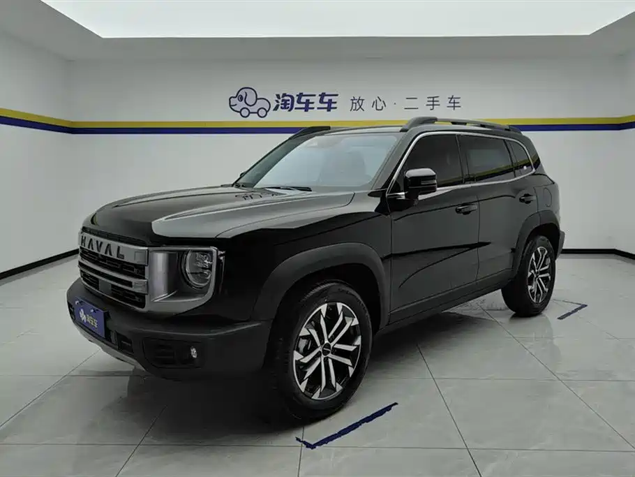 Haval Big Dog 2024 1.5T DCT Border Collie Edition