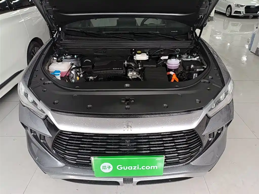 BYD Song Pro New Energy 2024 Glory Edition DM-i 71KM Pilot фото 20