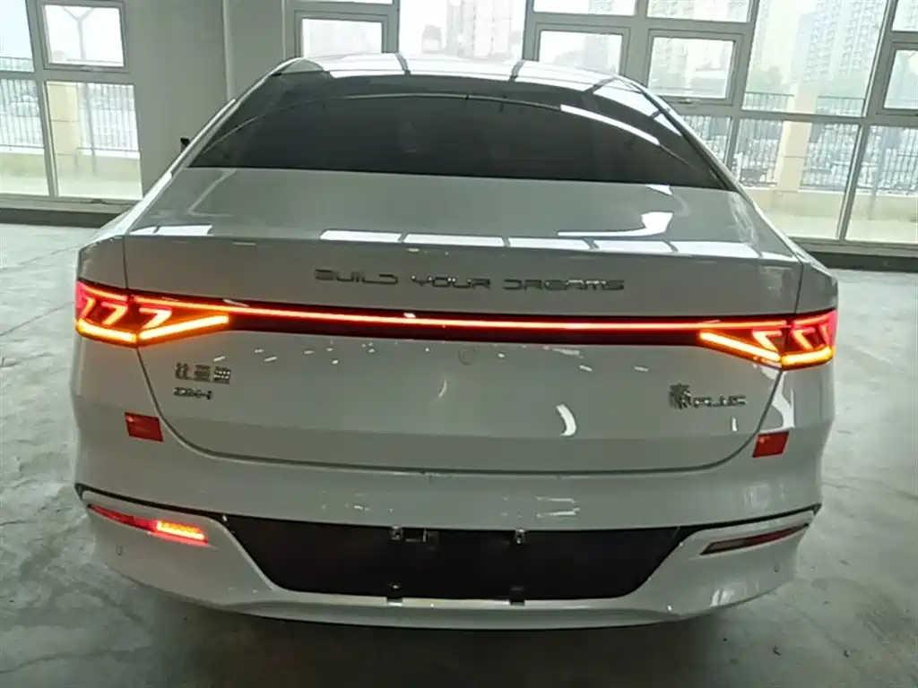BYD Qin PLUS 2024 Glory Edition DM-i 55KM Leading фото 6