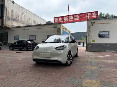 Wuling Bingo