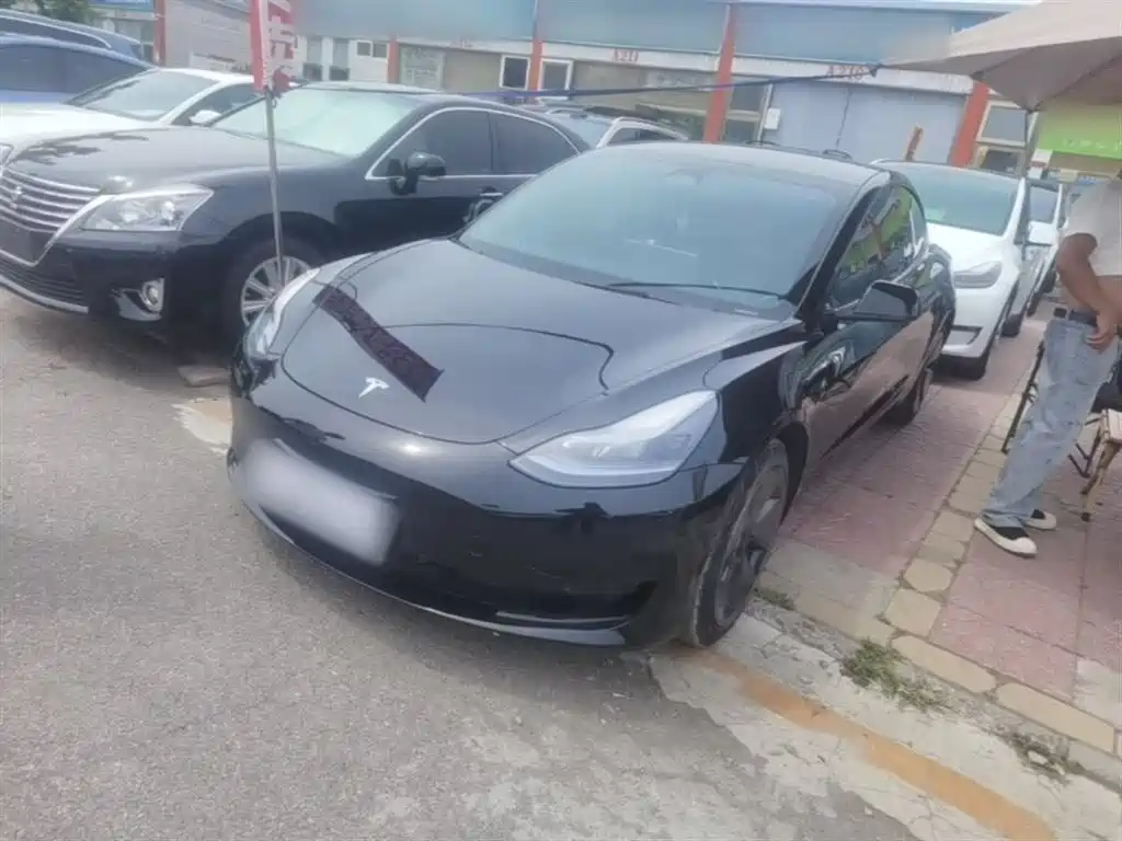 Tesla Model 3 2022 Model Rear-Wheel Drive Version