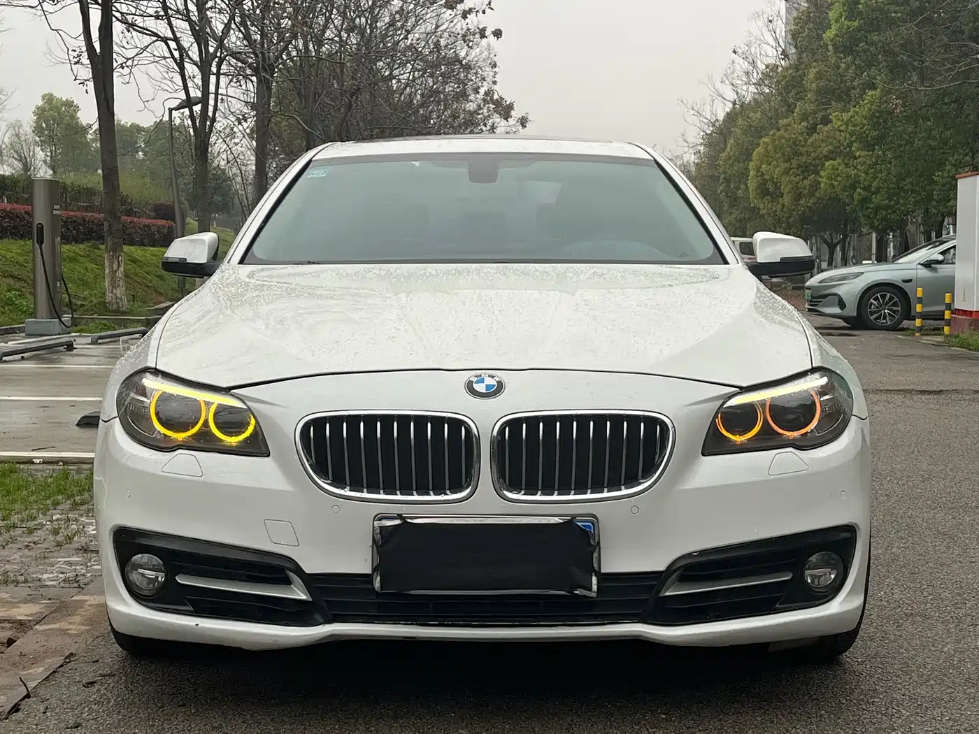 BMW 5 Series 2014 525Li Leading фото 2