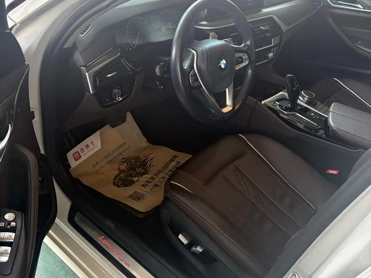 BMW 5 Series 2019 530Li Leading Luxury Package фото 3