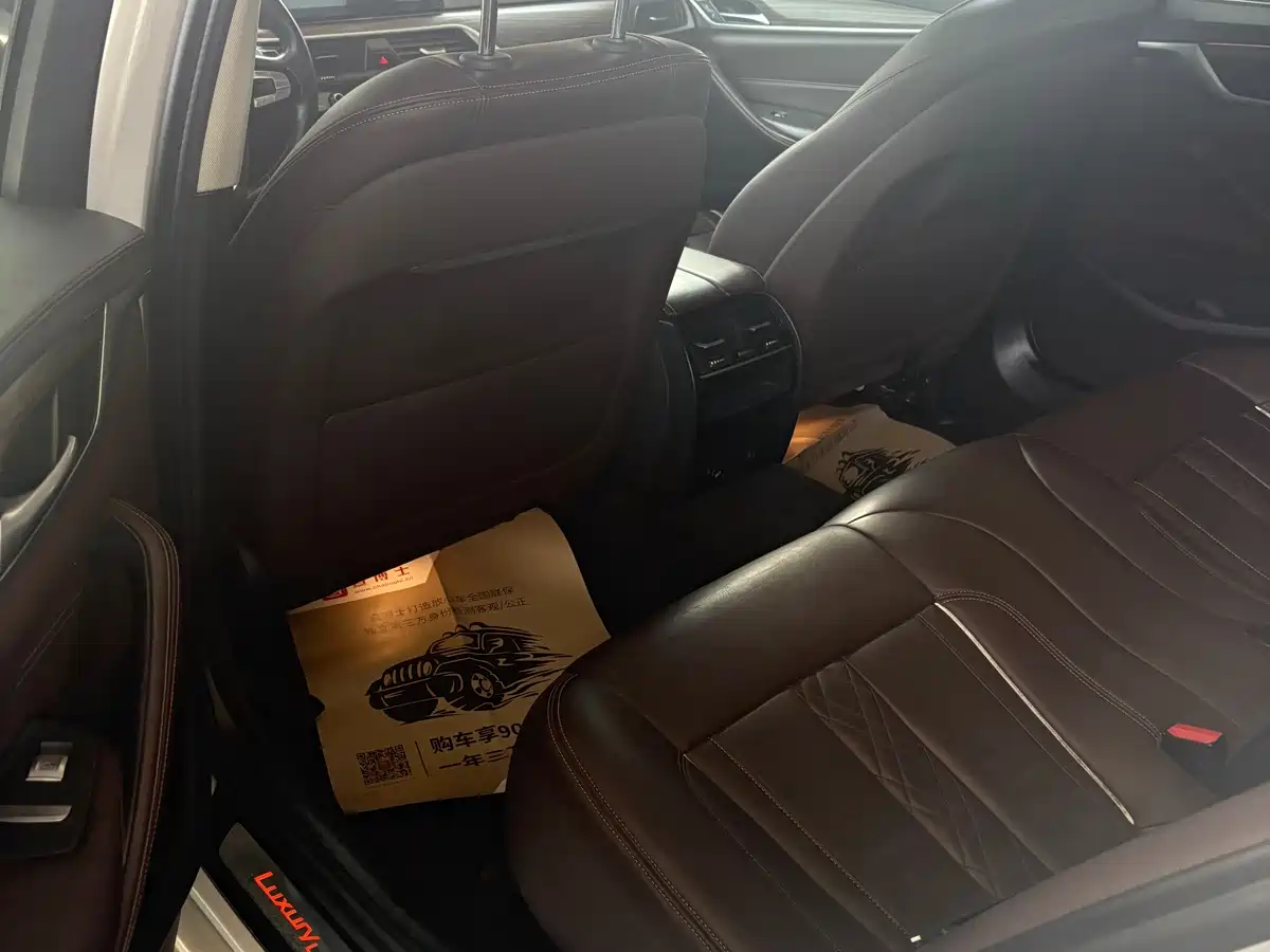 BMW 5 Series 2019 530Li Leading Luxury Package фото 4