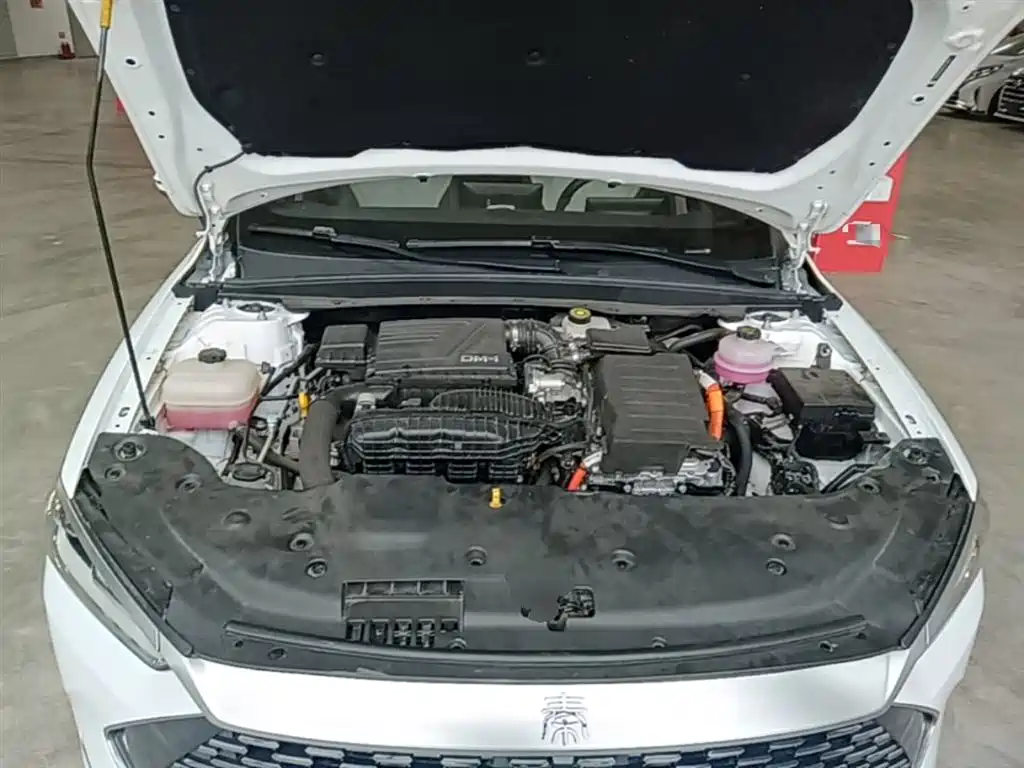 BYD Qin PLUS 2024 Glory Edition DM-i 55KM Leading фото 20
