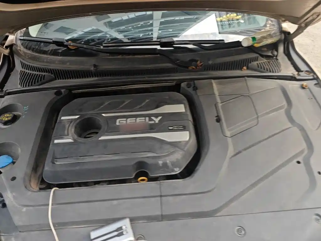 Фото 21 - Geely Binrui