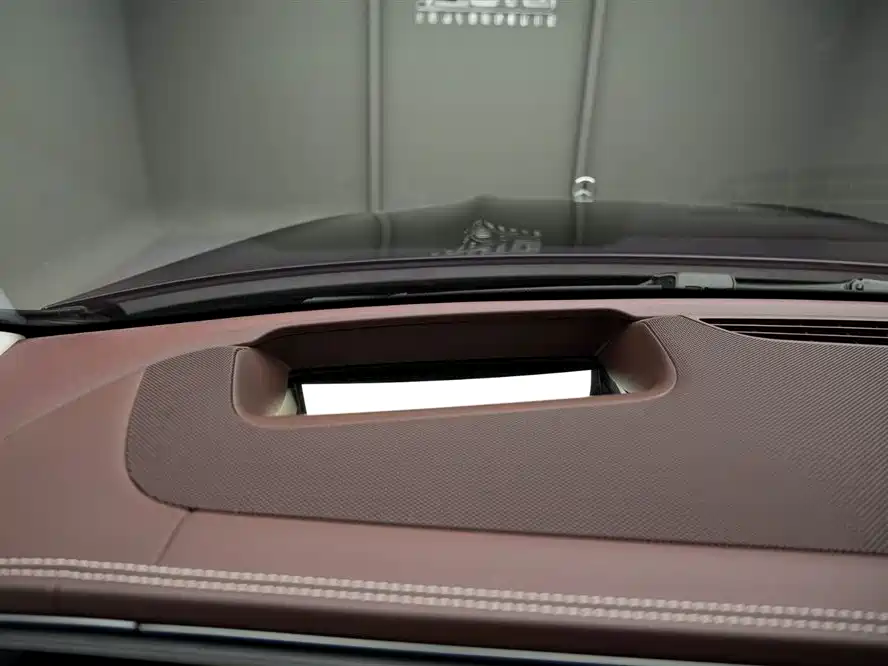 Mercedes-Benz Maybach GLS 2021 GLS 600 4MATIC Ritual Edition фото 10