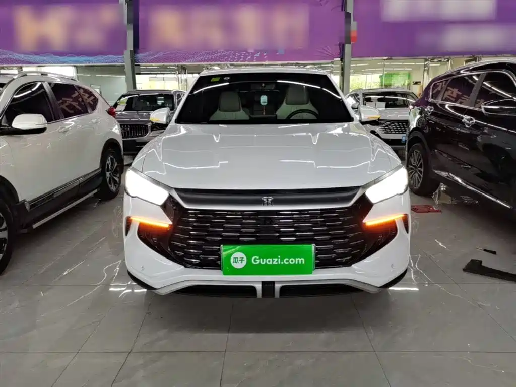 BYD Song Pro New Energy 2024 Glory Edition DM-i 71KM Pilot фото 3