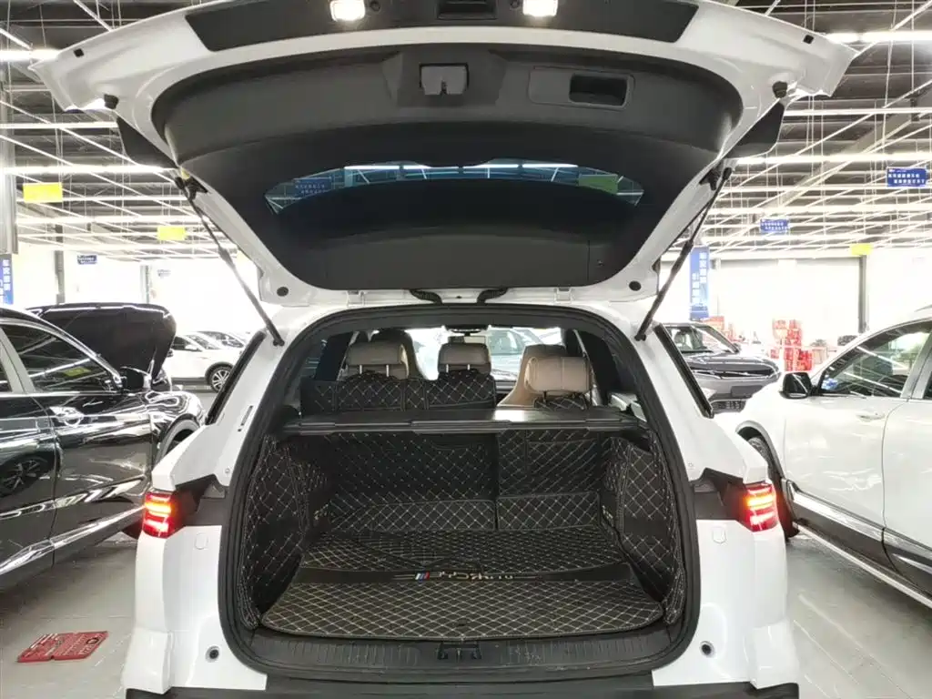 BYD Song Pro New Energy 2024 Glory Edition DM-i 71KM Pilot фото 19