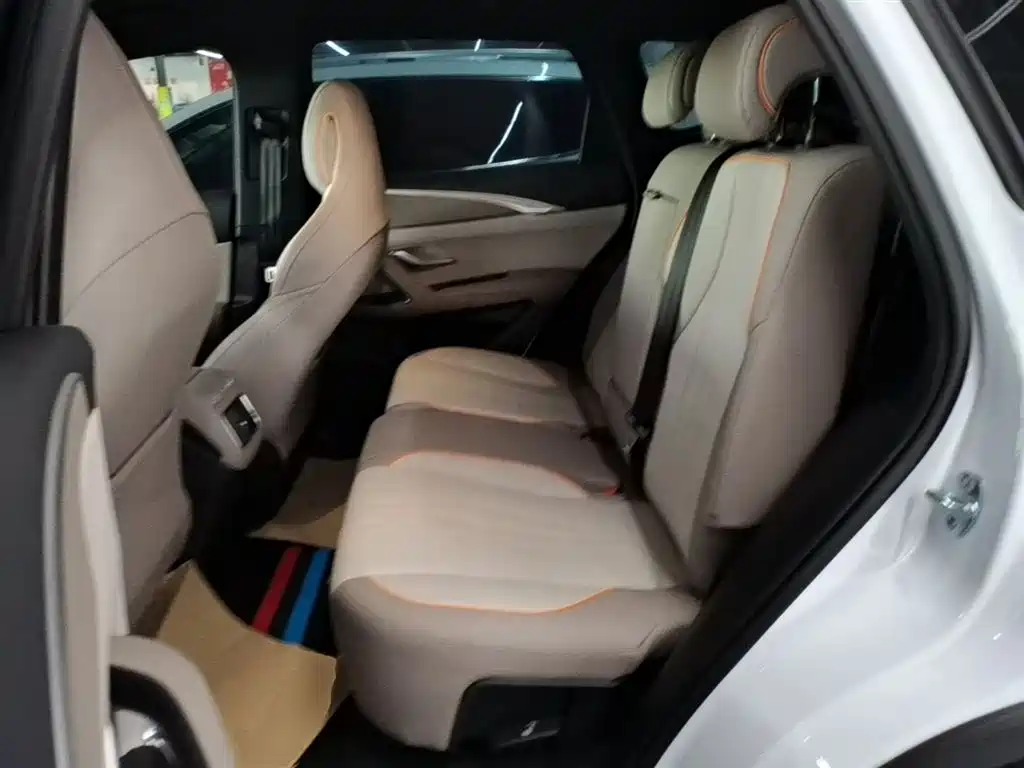 BYD Song Pro New Energy 2024 Glory Edition DM-i 71KM Pilot фото 17