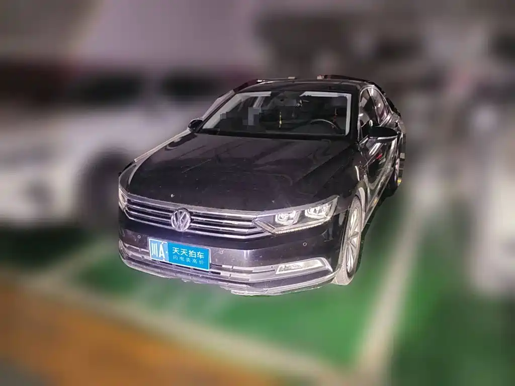 Volkswagen Magotan 2019 330TSI DSG Leading China VI