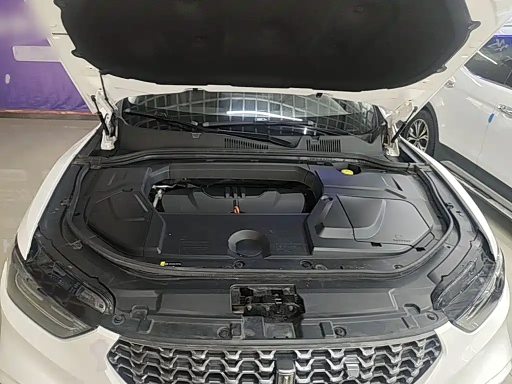 WEY VV5 2020 2020 1.5T 2WD Smart Pioneer