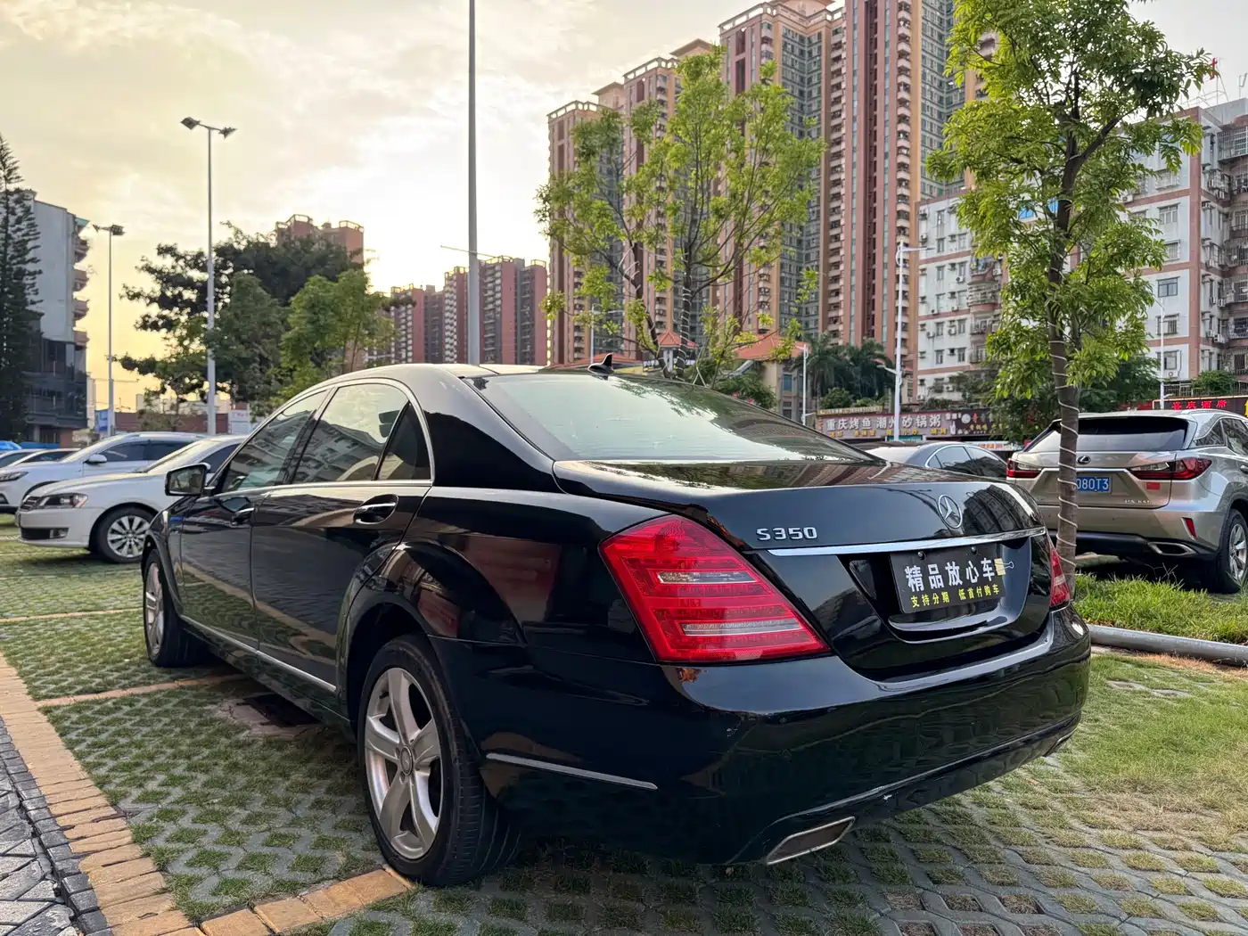 Mercedes-Benz S-Class 2010 S 350 L Luxury фото 4