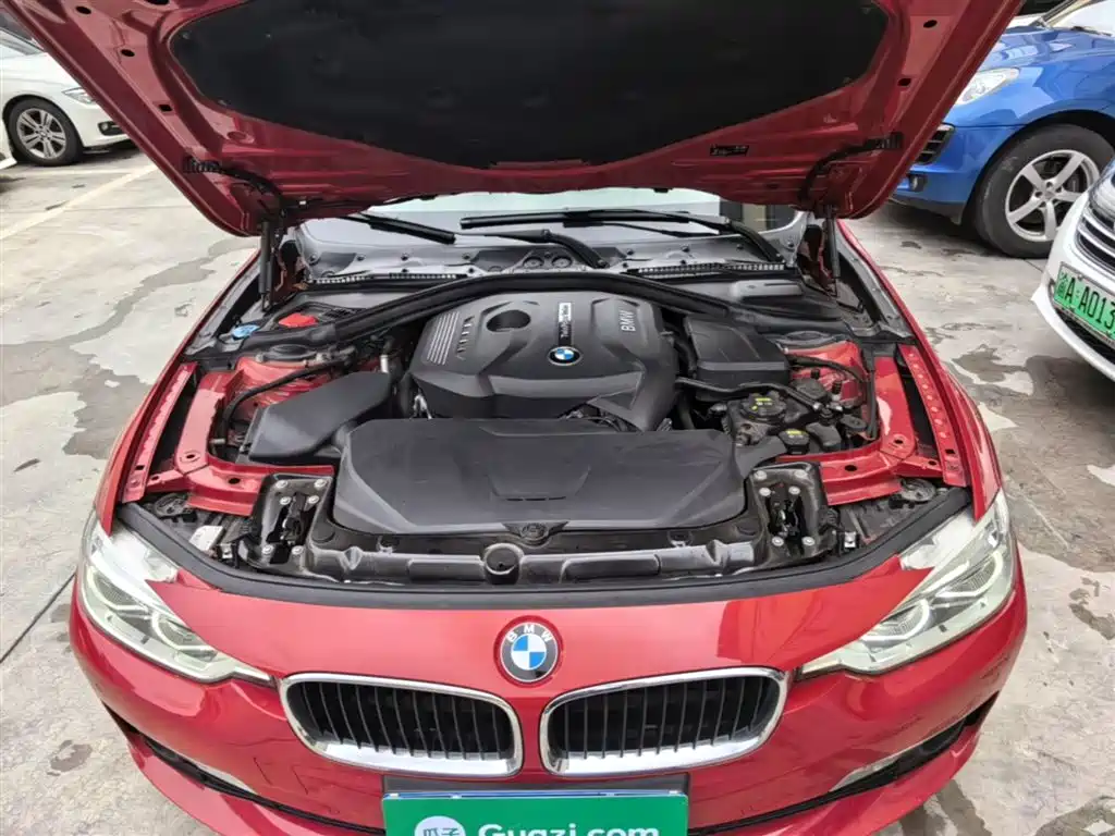 BMW 3 Series 2017 320Li Fashion фото 20