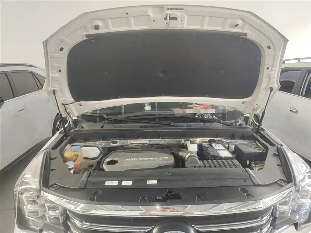 GAC Trumpchi Trumpchi GS7 2017 320T 2WD Luxury Smart Connect фото 20