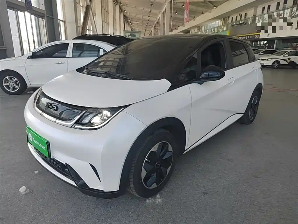 BYD Dolphin 2024 Glory Edition 420km Fashion Edition