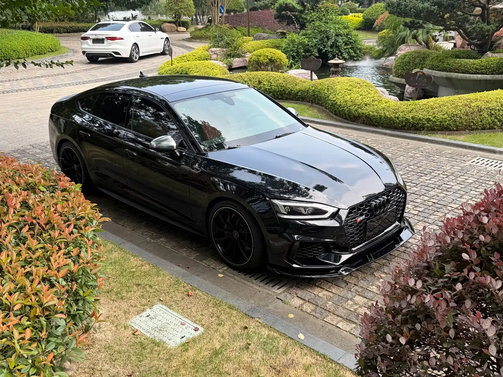 Фото 9 - Audi S5