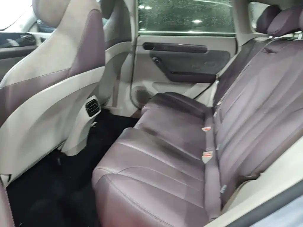Leapmotor C11 2022 2021 Facelift Luxury Edition