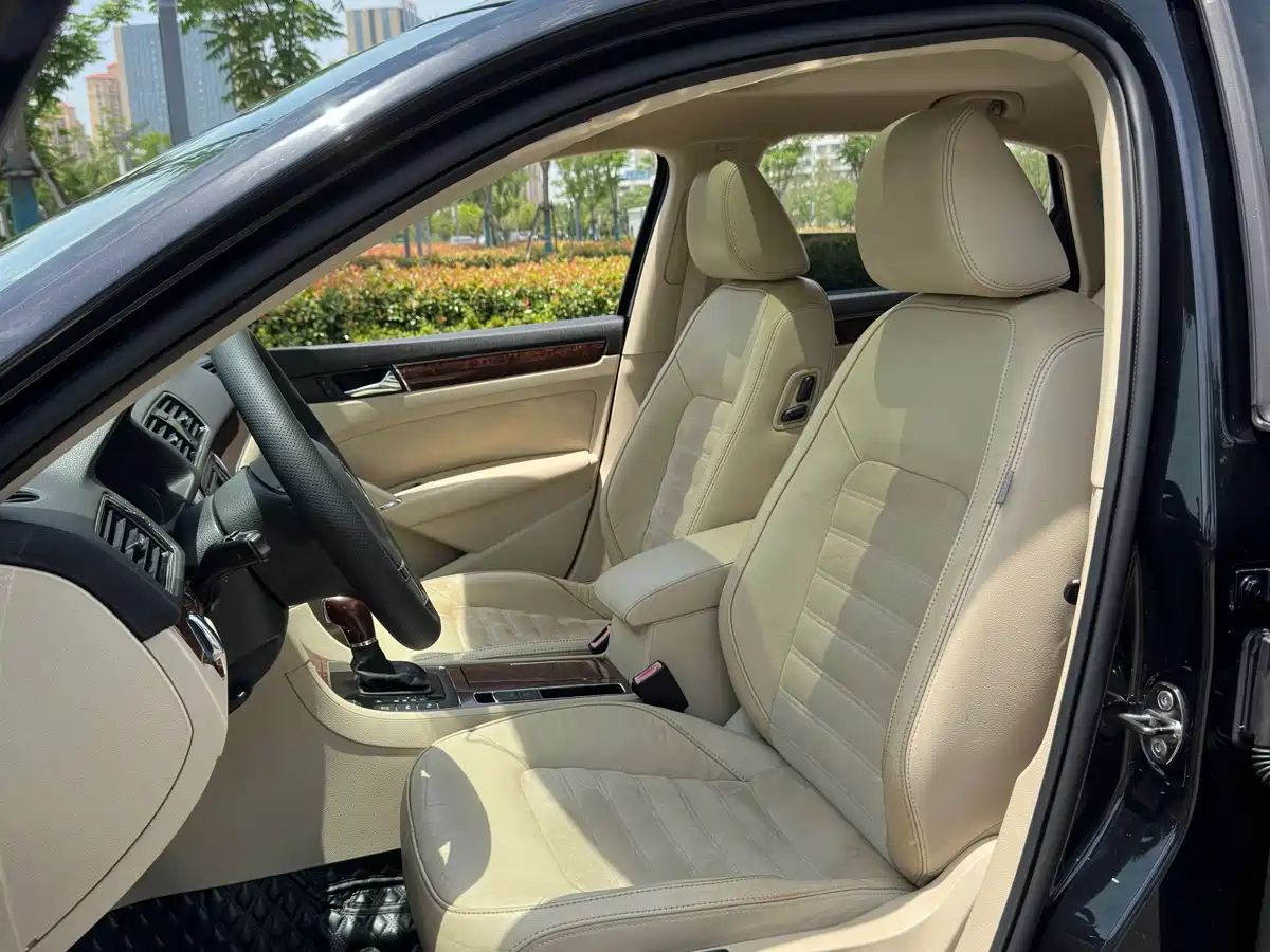 صورة 13 - Volkswagen Passat
