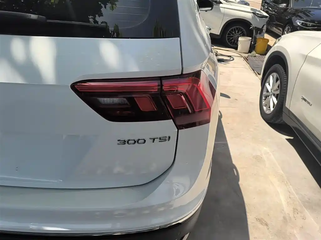 Volkswagen Tiguan L 2024 Outstanding 300TSI Auto 2WD Dragon Soaring Edition фото 8