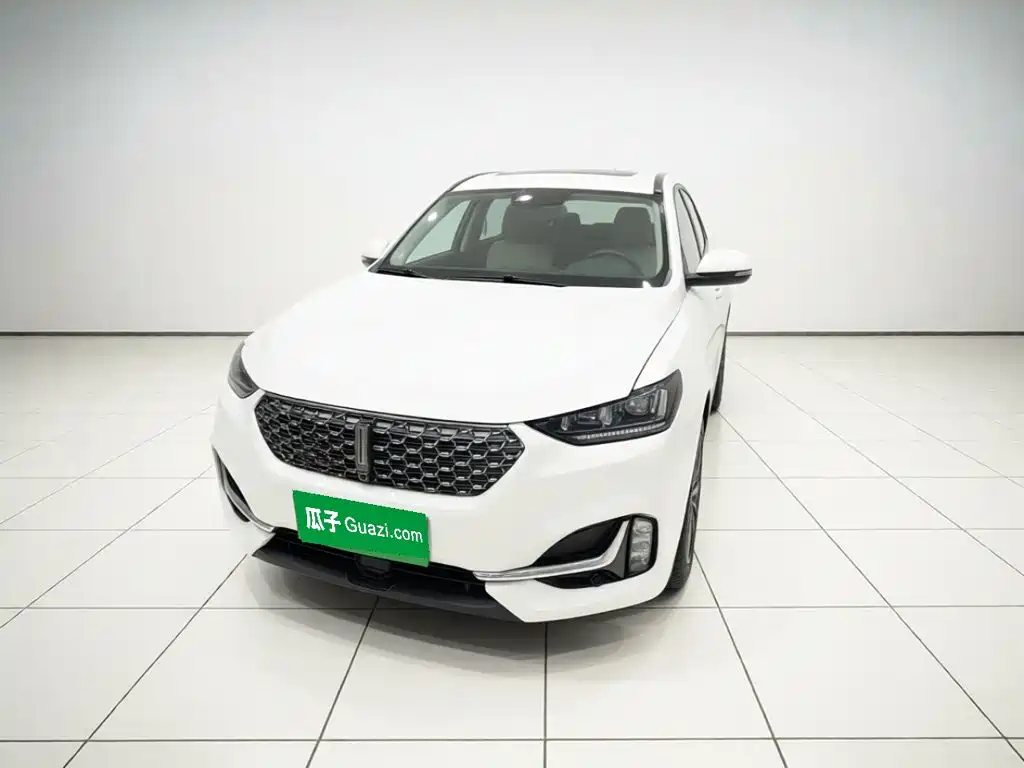 WEY VV6 2021 2021 2.0T 2WD Smart Enjoyment+