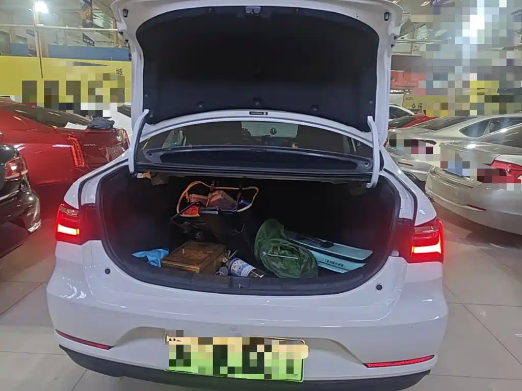 BYD Qin New Energy 2020 2019 Long Range Edition Premium