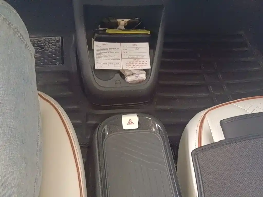 QQ New Energy Little Ant 2024 2024 Facelift 321km Beloved Edition