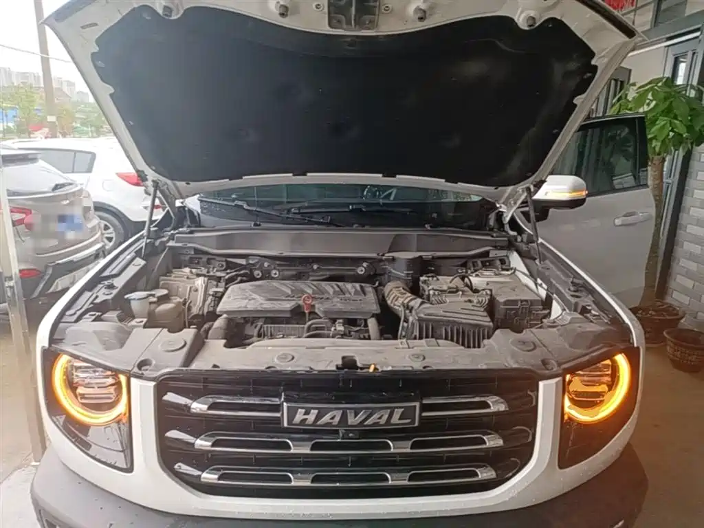 Haval Big Dog 2021 1.5T DCT 2WD Border Collie Edition фото 20