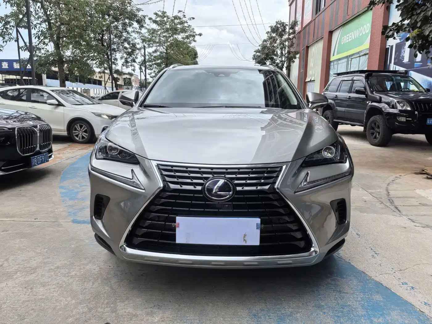 Lexus NX 2020 300h FWD F Sport China V фото 2
