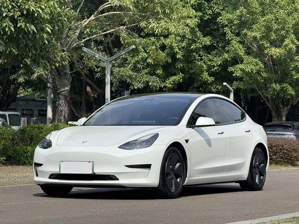 Tesla Model 3 2022 Model Rear-Wheel Drive Version