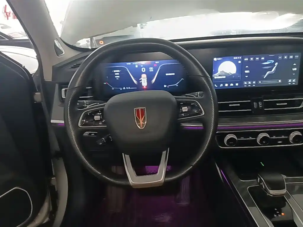 Hongqi HS5 2023 2.0T 4WD Flag Leader Pro фото 11