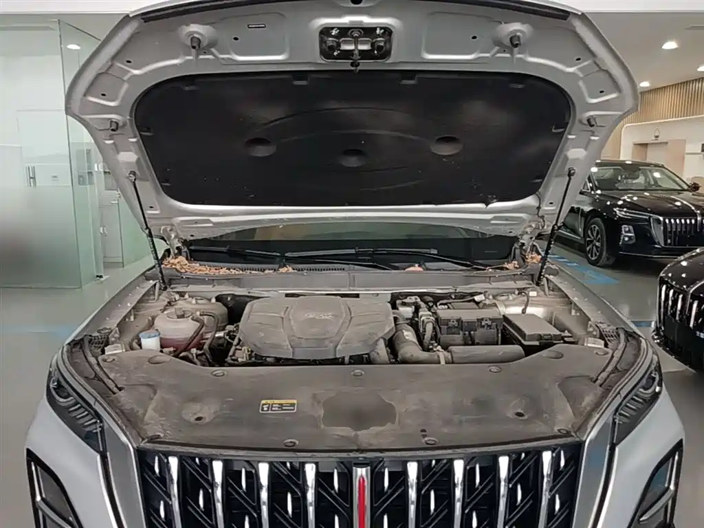 Hongqi HS5 2023 2.0T 4WD Flag Leader Pro фото 20