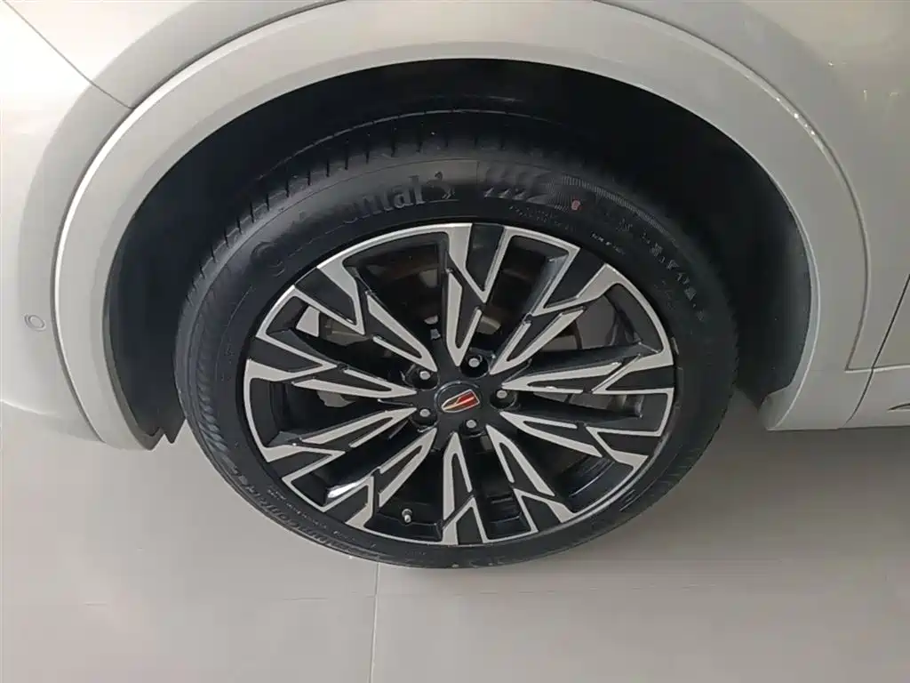 Hongqi HS5 2023 2.0T 4WD Flag Leader Pro фото 23