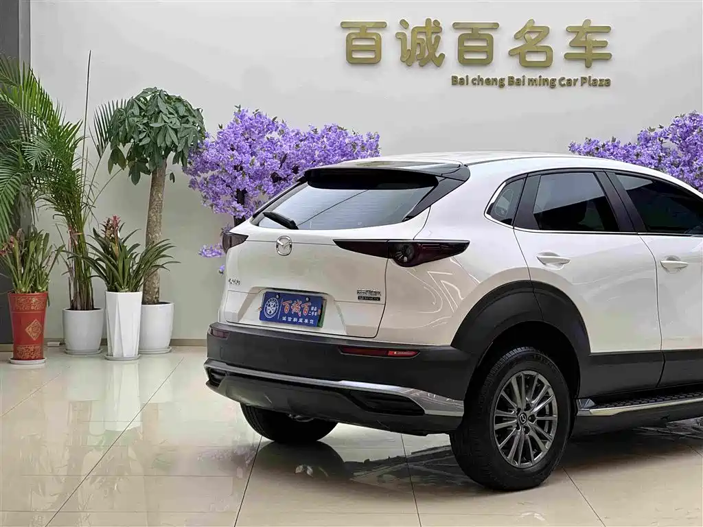 Mazda CX-30 EV 2023 2021 Pure Electric Enjoyment Edition