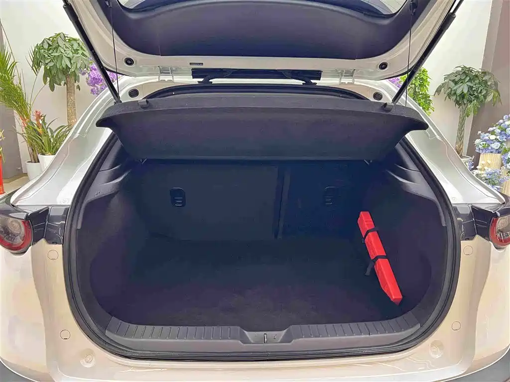Mazda CX-30 EV 2023 2021 Pure Electric Enjoyment Edition