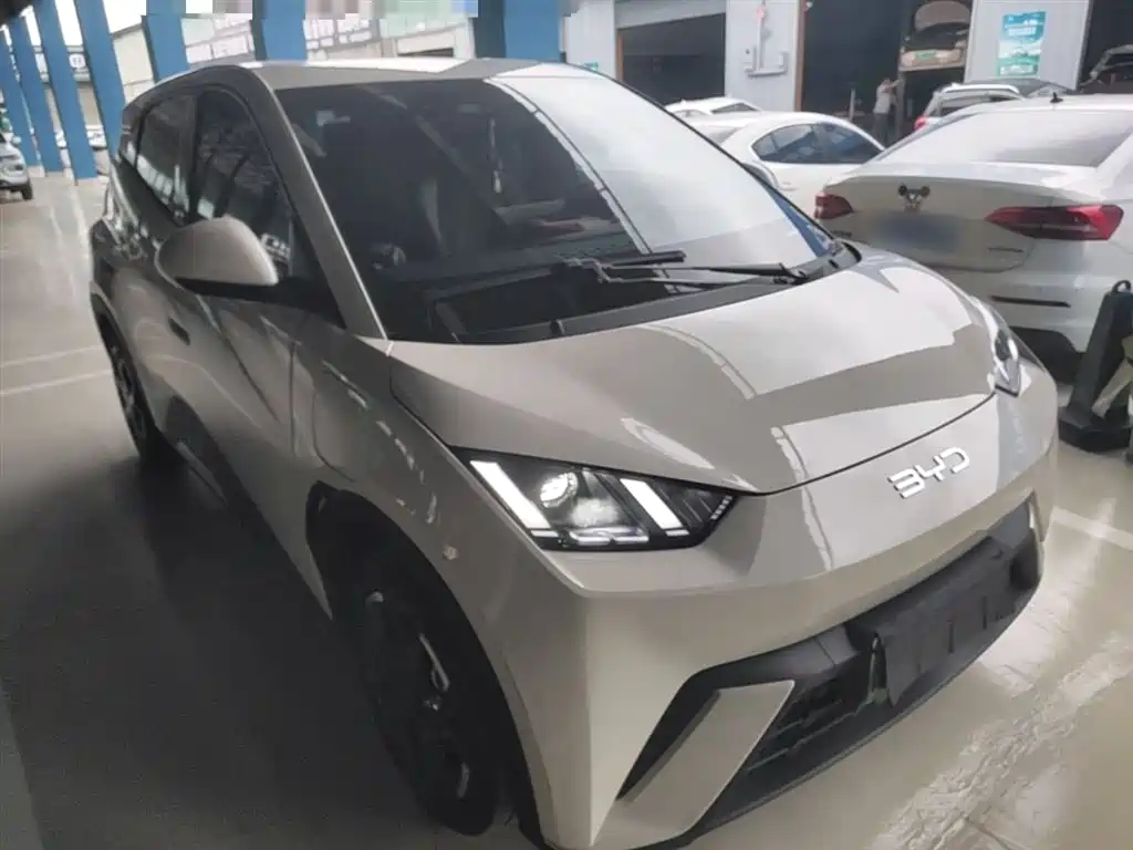 BYD Seagull 2024 Glory Edition 405km Soaring Edition фото 4
