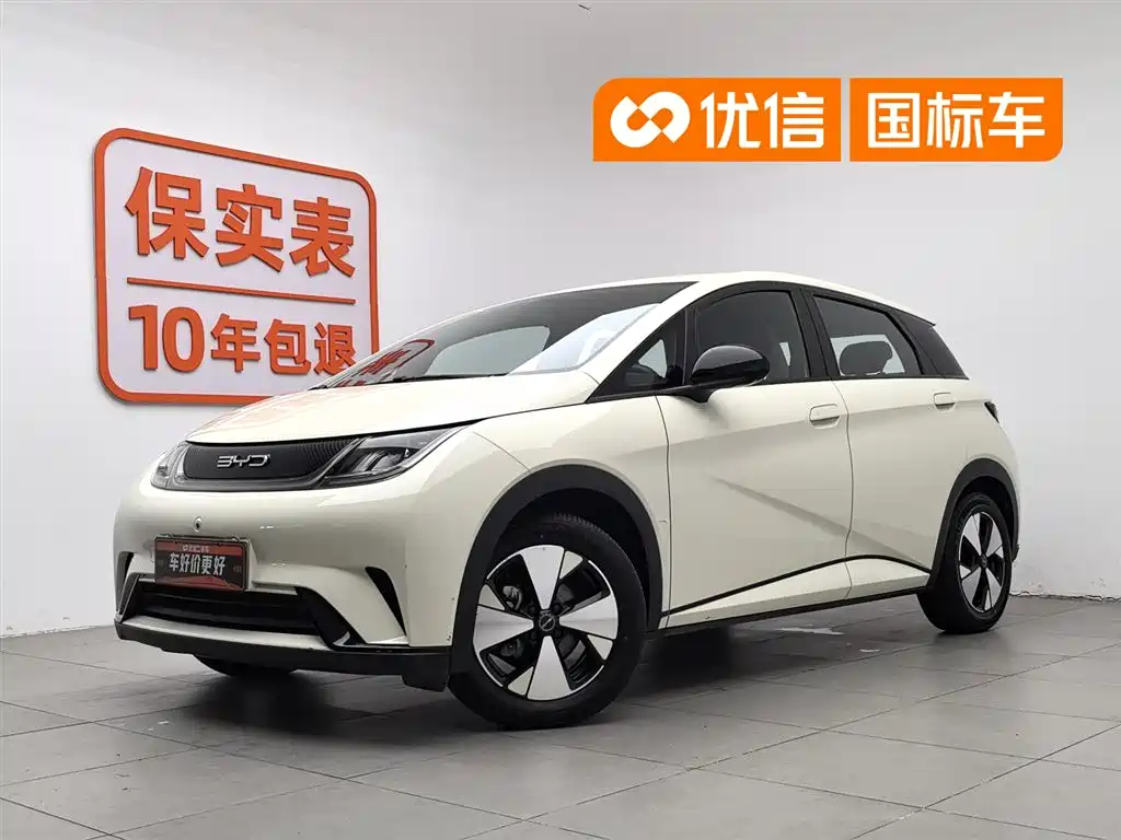 BYD Dolphin 2023 420km Freedom Edition