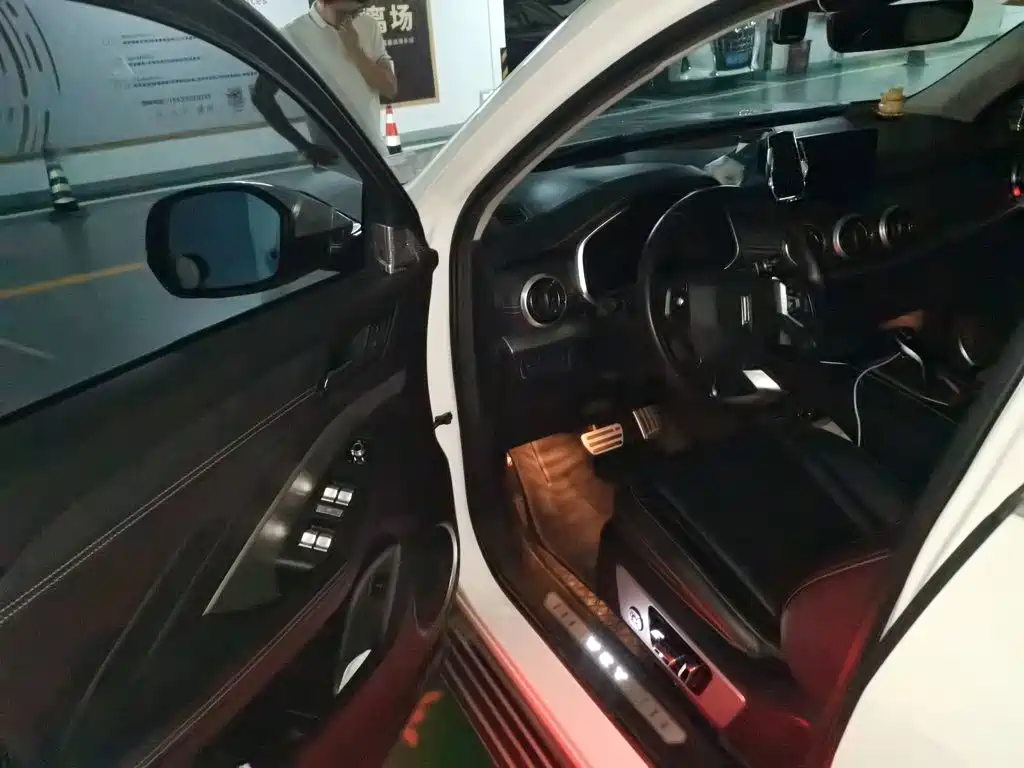 WEY VV6 2019 2018 2.0T 2WD Super Luxury China V