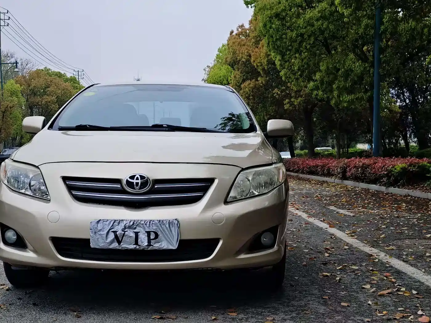 Toyota Corolla 2009 1.6L Manual GL Sunroof Special Edition фото 4