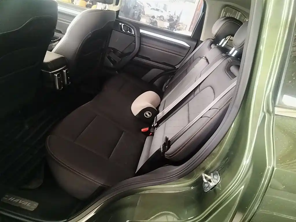 Haval Big Dog 2021 1.5T DCT 2WD Border Collie Edition фото 17