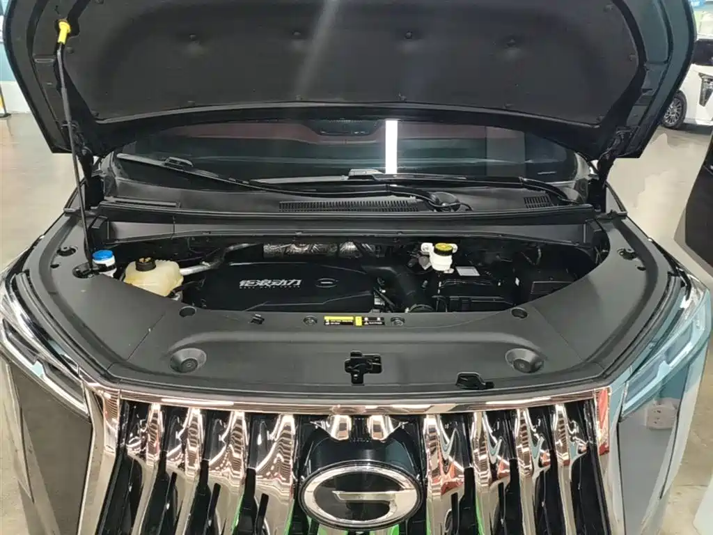 GAC Trumpchi Trumpchi M8 2024 Model Grandmaster Series 400T Pioneer Edition фото 20