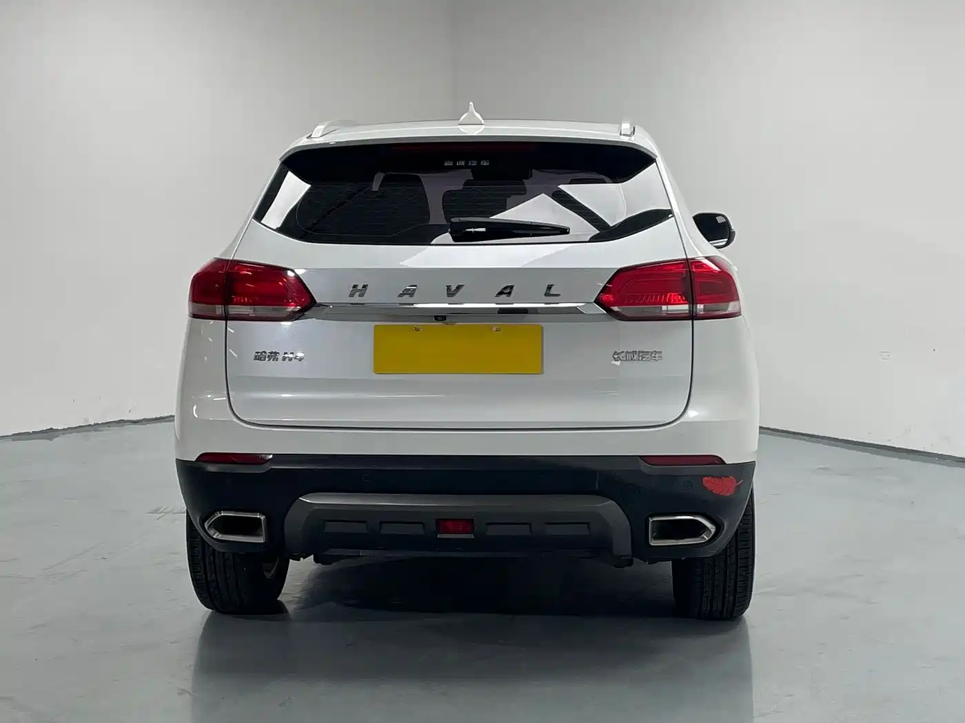 Haval H4 2019 2019 1.5GDIT DCT Luxury Smart Connection China VI