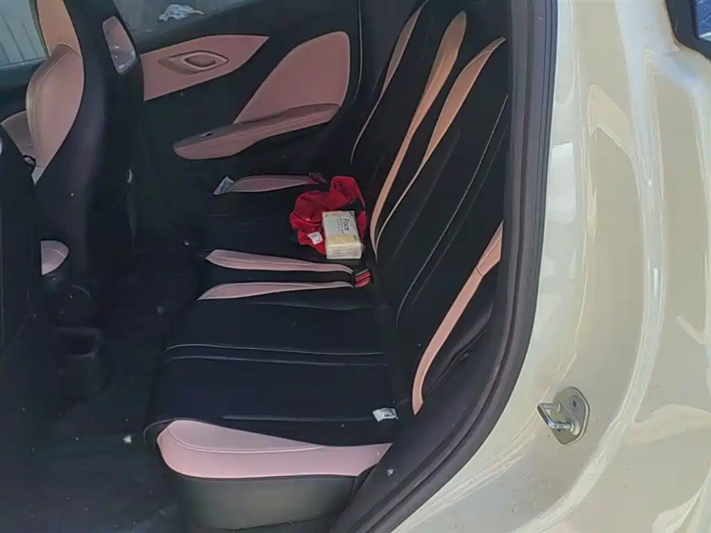 BYD Seagull 2024 Glory Edition 405km Soaring Edition фото 17