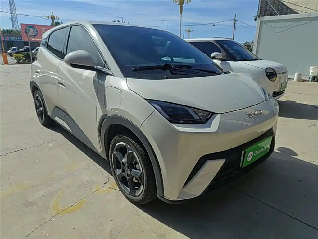 BYD Seagull 2024 Glory Edition 405km Soaring Edition фото 4