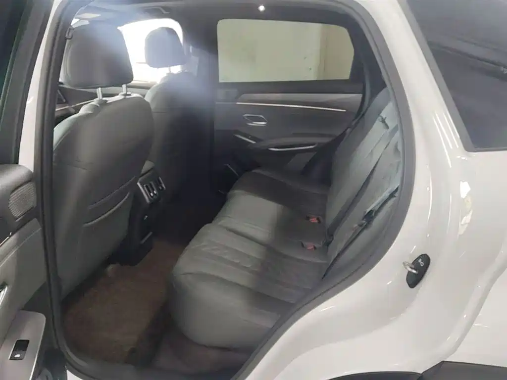 BYD Song L DM-i 2025 Smart Drive Edition 112km Surpassing фото 17